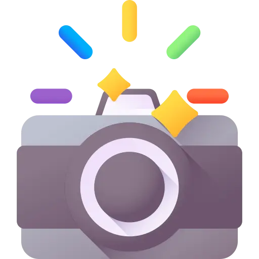 Camera Insertion